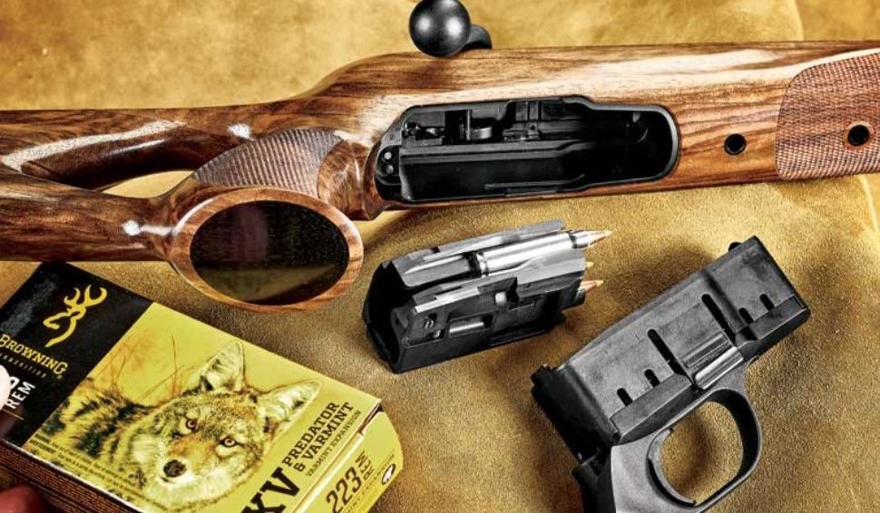 Blaser R8 или R93: сравнение для охотника на крупную дичь